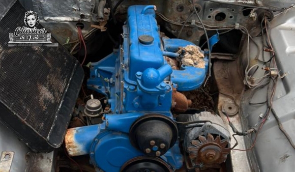 OPALA DIPLOMATA 1989